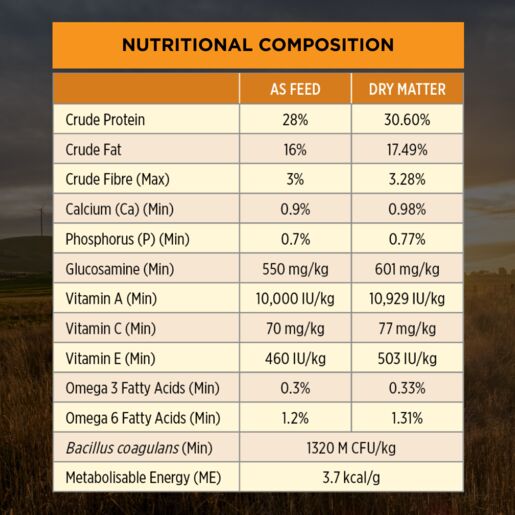Purina Pro Plan Adult Essential Health - Medium