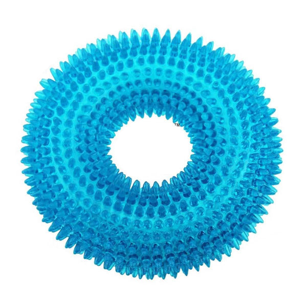 Squeaky Teether Ring Chew Toy
