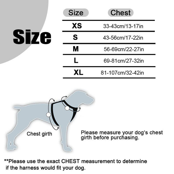 Padded Dog Harness