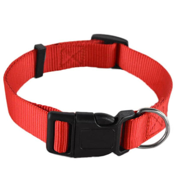 Simple Pet Collar