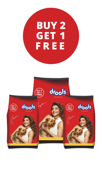 Drools Puppy Chicken & Egg