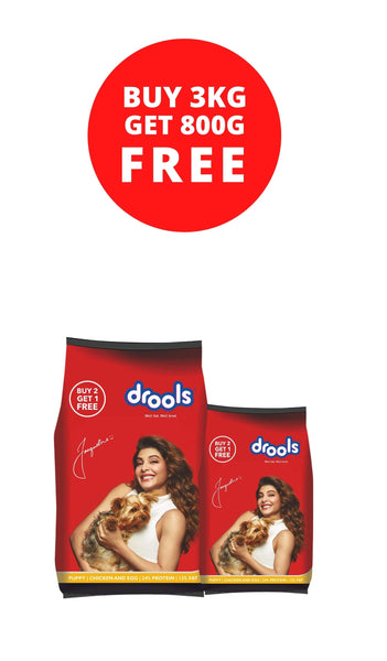 Drools Puppy Chicken & Egg