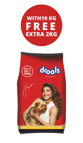 Drools Puppy Chicken & Egg