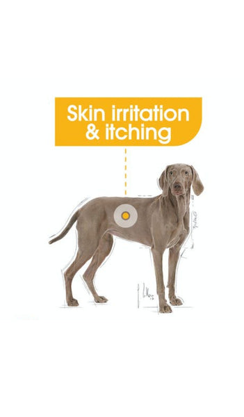 Royal Canin Maxi Dermacomfort 3kg