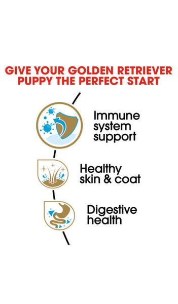 Royal Canin Golden Retriever Puppy
