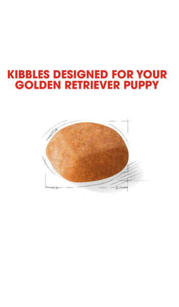 Royal Canin Golden Retriever Puppy