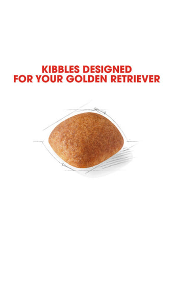 Royal Canin Golden Retriever Adult