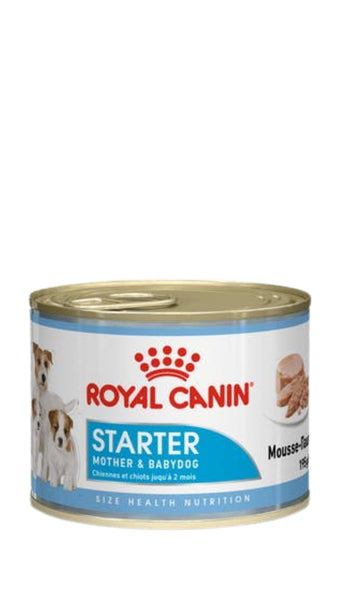 Royal Canin Starter Mousse 195g