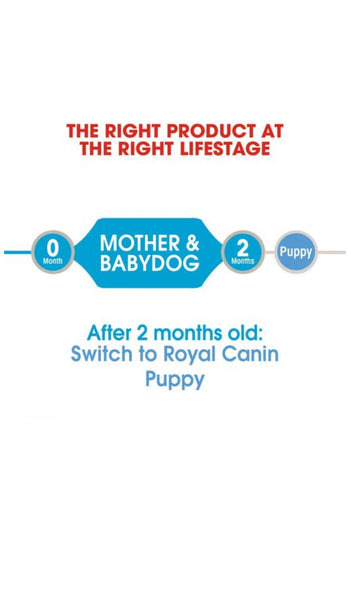 Royal Canin Starter Mousse 195g
