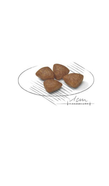 Royal Canin Mini Starter 1kg
