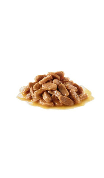 Royal Canin Mini Puppy Pouch 85g