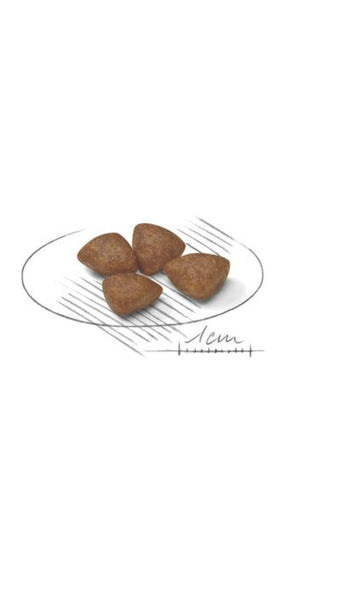 Royal Canin Mini Puppy 2kg