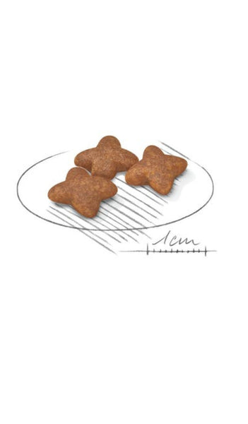Royal Canin Mini Adult 4kg