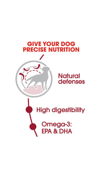 Royal Canin Medium Adult 10kg