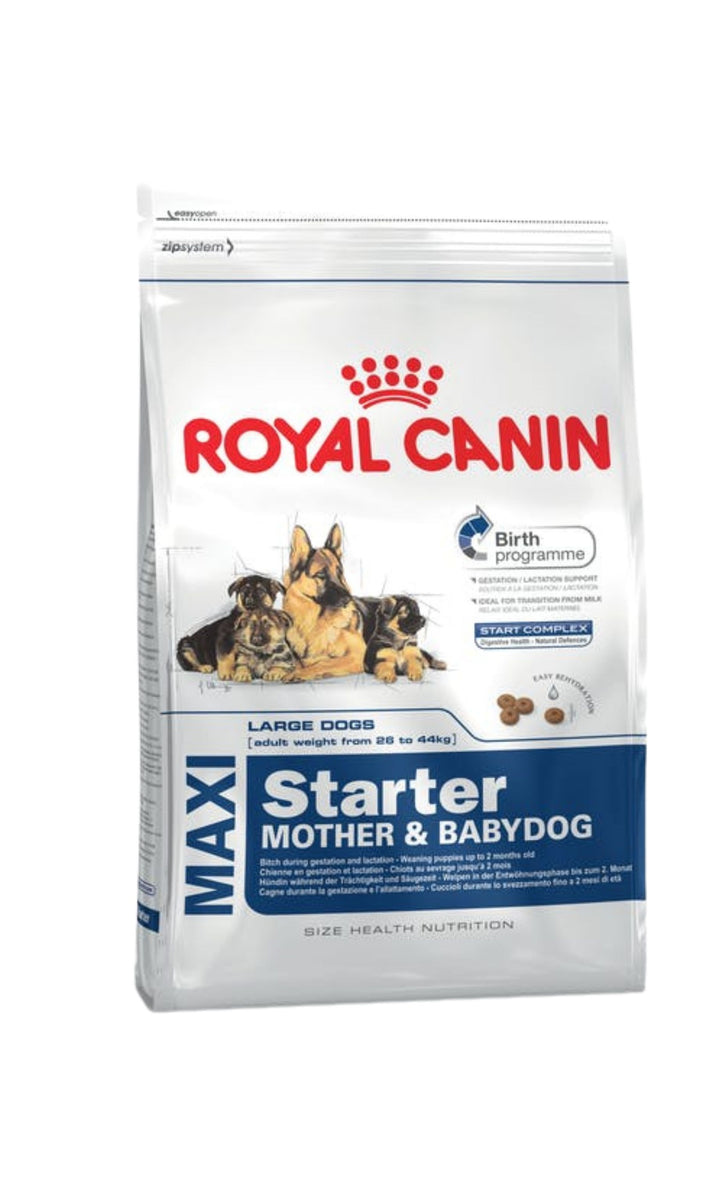 Royal 2024 canin rs