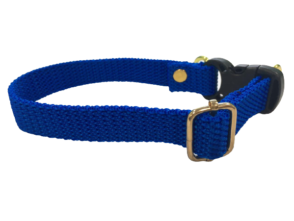Plain Dog Collar for Medium Breeds