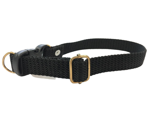 Plain Dog Collar for Medium Breeds