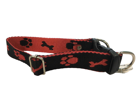 Printed Dog Collar for Medium Breeds