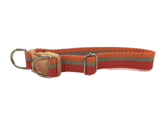 Printed Dog Collar for Medium Breeds
