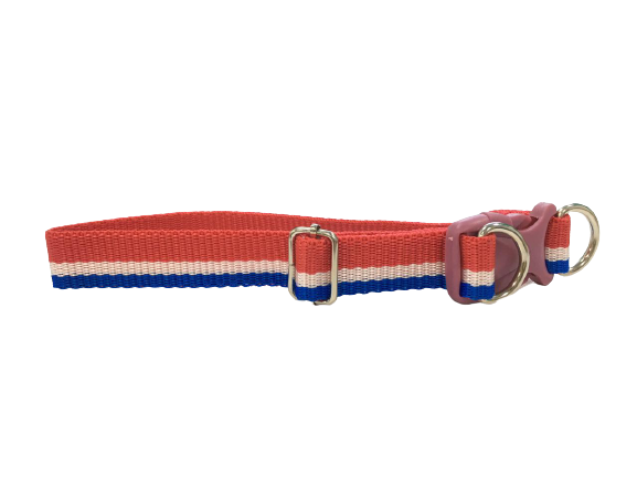 Printed Dog Collar for Medium Breeds