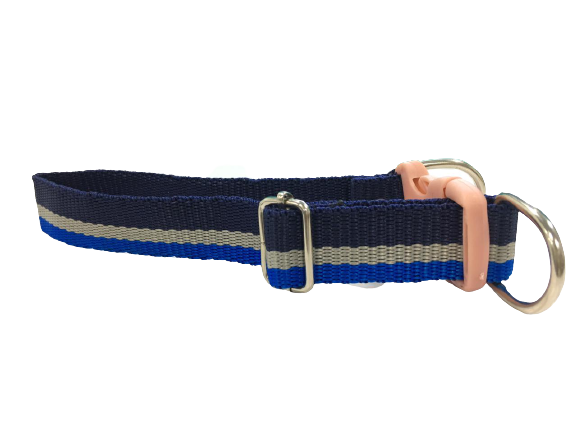 Printed Dog Collar for Medium Breeds