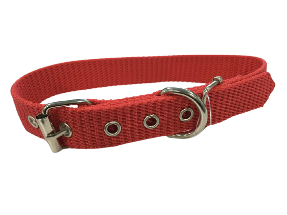 Vibrant Red Dog Collar for Medium Breeds
