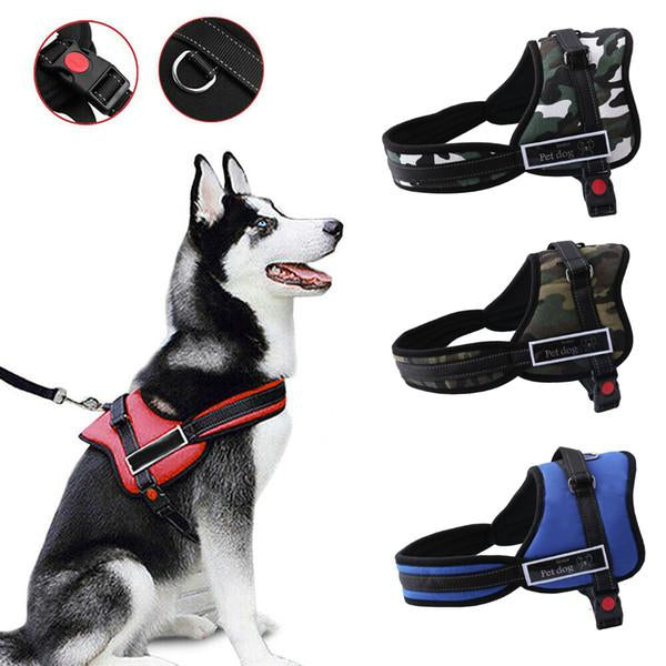 Padded Dog Harness