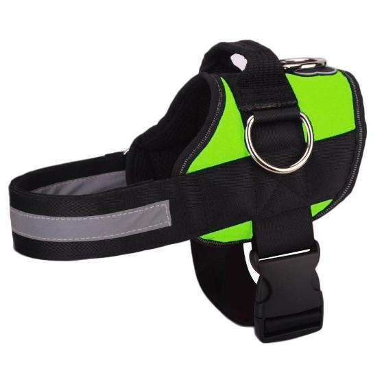Padded Dog Harness