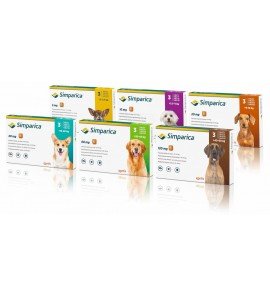 Simparica Chewables 