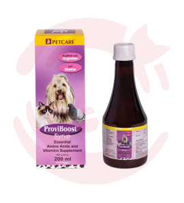 ProviBoost Syrup 200ml