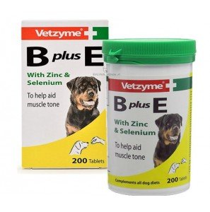 Vetzyme B+E 