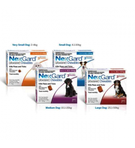 NexGard 1 tablet