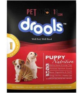Drools Puppy Starter 