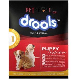 Drools Puppy Starter 
