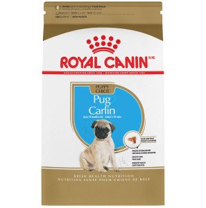 Royal Canin Pug Puppy