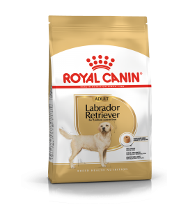 Royal Canin Labrador Retriever Adult 