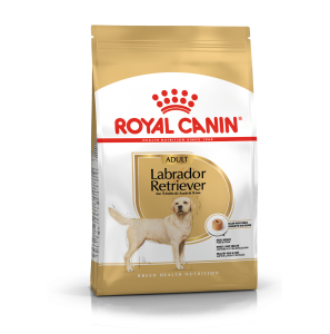 Royal Canin Labrador Retriever Adult 