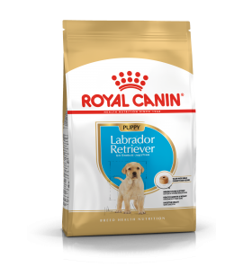 Royal Canin Labrador Retriever Puppy 