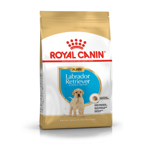 Royal Canin Labrador Retriever Puppy 