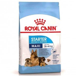 Royal Canin Maxi Starter 