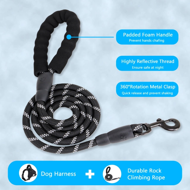 Heavy Duty Harness and Leash for Large Breed