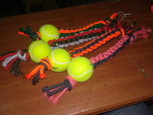 Rope with Tennis Ball Toy