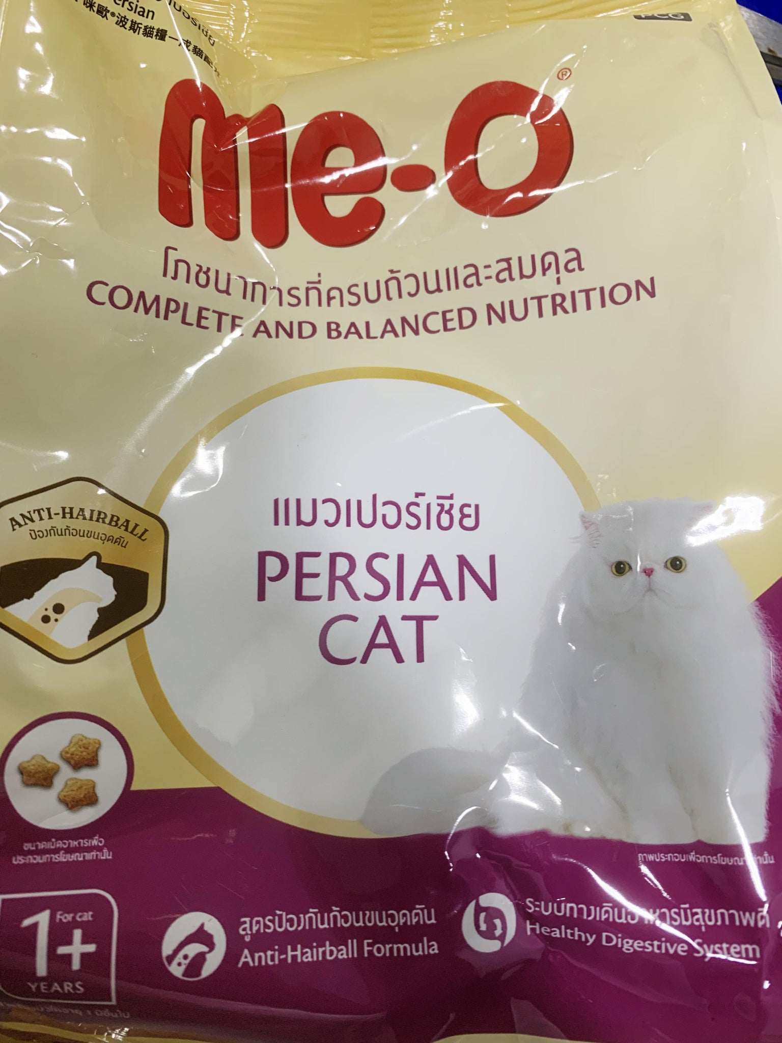 Me-O Persian Cat