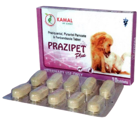 Prazipet Plus Worm Tablet (One Tablet)