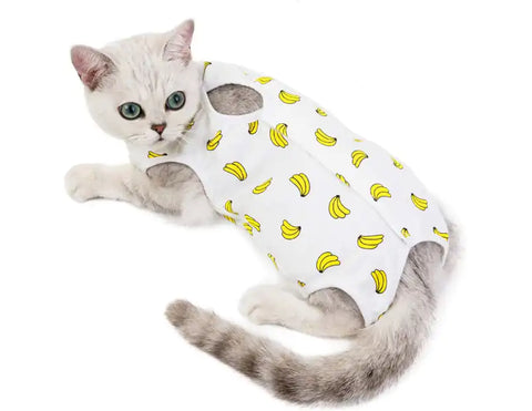 Cat Recovery Suit