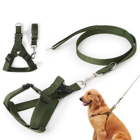 Heavy Duty Harness and Leash for Large Breed