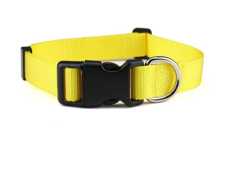 Adjustable Dog Collar for Medium & Large Breeds