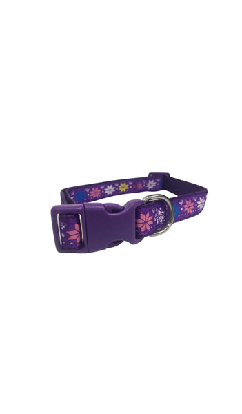 Fancy Printed Dog Collar