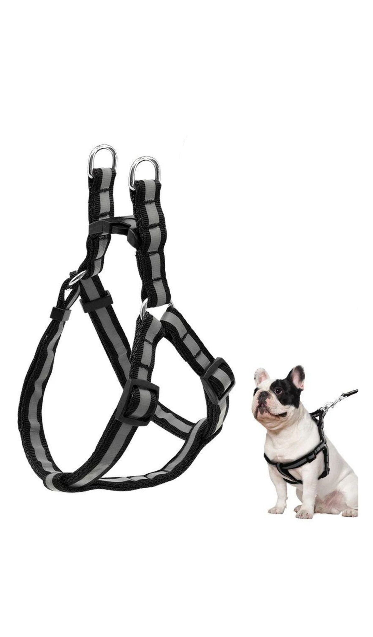 Reflective Harness with Leash