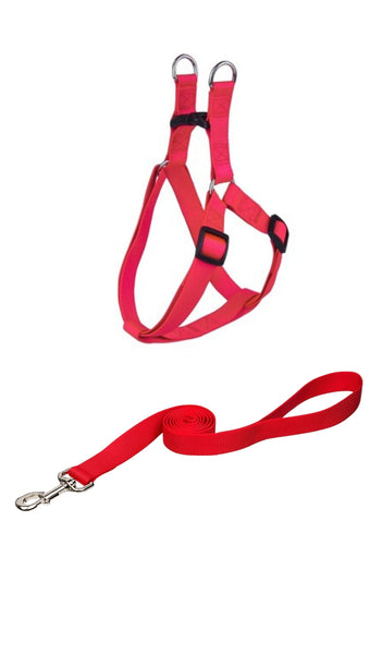 Comfortable Harness with Leash for Small Breeds